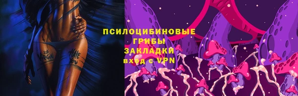 бутират Инсар